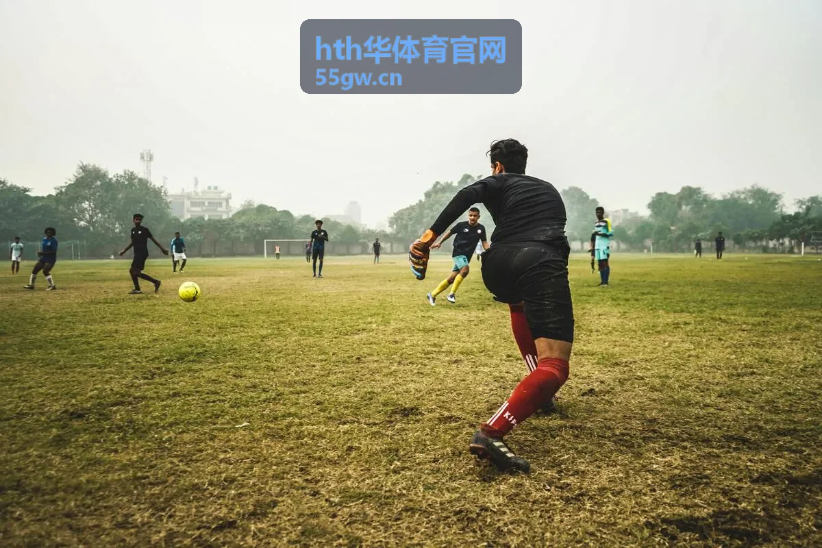 hth华体育官网赛事场馆现场氛围图